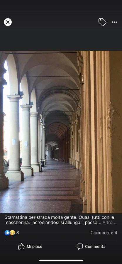 Domus Dotta Hotel Bologna Bagian luar foto